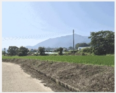  2025Ÿ��498  ���(�󰡽ü�)���