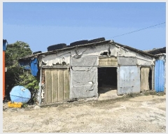  2025Ÿ��498  ���(�󰡽ü�)���