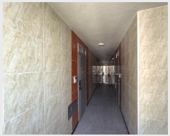  2025Ÿ��530  �ٸ����ð��