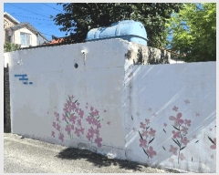  2025Ÿ��538  ���ð��