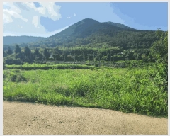  2025Ÿ��570  ����