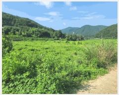  2025Ÿ��570  ����