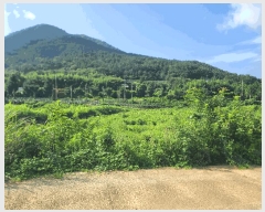  2025Ÿ��570  ����