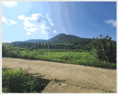  2025Ÿ��570  ����