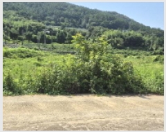  2025Ÿ��570  ����