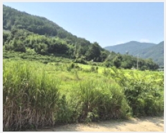  2025Ÿ��570  ����