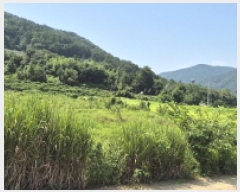  2025Ÿ��570  ����