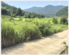  2025Ÿ��570  ����