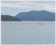  2025Ÿ��578 ������ ���θ� ���踮 ����       ����ǰ��