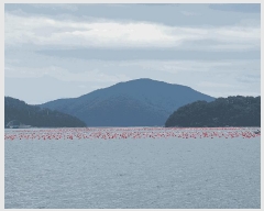  2025Ÿ��578 ������ ���θ� ���踮 ����       ����ǰ��