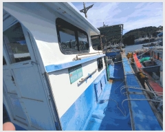  2025Ÿ��588  ���ڰ��