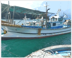  2025Ÿ��588  ���ڰ��