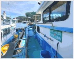  2025Ÿ��588  ���ڰ��