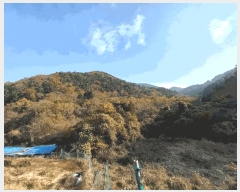  2025Ÿ��654 �泲 ������ ���ʸ� ���丮 501-5      ���ð��