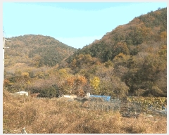  2025Ÿ��654 �泲 ������ ���ʸ� ���丮 501-5      ���ð��