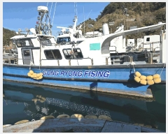  2025Ÿ��662 ���� ��ȣ��         ���ڰ��