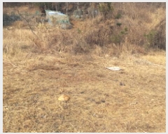  2025Ÿ20330 泲   86-3       (Ӿ)