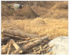  2025Ÿ20330 泲   86-3       (Ӿ)