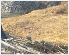  2025Ÿ20330 泲   86-3       (Ӿ)