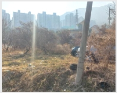  2025Ÿ20552 泲  󵿵 684       ()