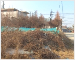  2025Ÿ20552 泲  󵿵 684       ()