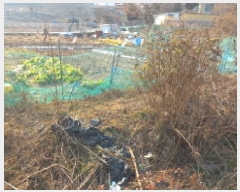  2025Ÿ20552 泲  󵿵 684       ()