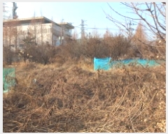  2025Ÿ20552 泲  󵿵 684       ()