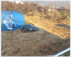  2025Ÿ20552 泲  󵿵 684       ()