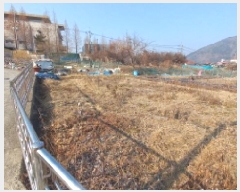  2025Ÿ20552 泲  󵿵 684       ()