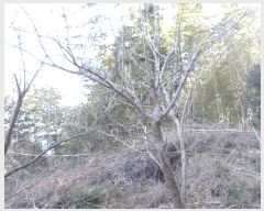  2025Ÿ��20767 �泲 ������ �Ͽ�� �������� 855      ����(��1)���