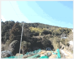  2025Ÿ��20767 �泲 ������ �Ͽ�� �������� 855      ����(��1)���