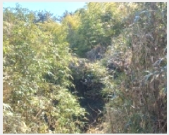  2025Ÿ��20767 �泲 ������ �Ͽ�� �������� 855      ����(��1)���