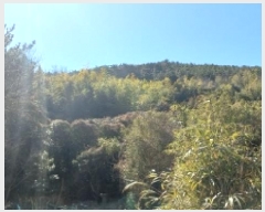  2025Ÿ��20767 �泲 ������ �Ͽ�� �������� 855      ����(��1)���