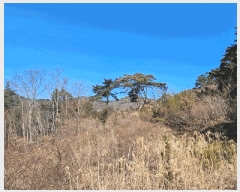  2025Ÿ20972 泲  θ  38-2      (Ӿ)