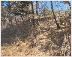  2025Ÿ20972 泲  θ  38-2      (Ӿ)