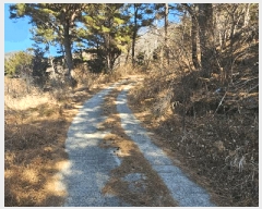  2025Ÿ20972 泲  θ  38-2      (Ӿ)