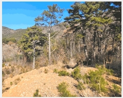  2025Ÿ20972 泲  θ  38-2      (Ӿ)