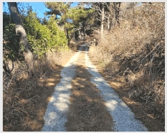  2025Ÿ20972 泲  θ  38-2      (Ӿ)