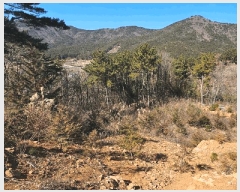  2025Ÿ20972 泲  θ  38-2      (Ӿ)