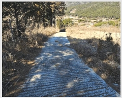  2025Ÿ20972 泲  θ  38-2      (Ӿ)