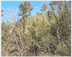  2025Ÿ20972 泲  θ  38-2      (Ӿ)