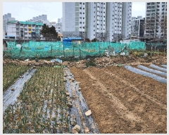  2025Ÿ��20997 �泲 ������ ������ 1084-5       ����(��)���