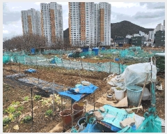  2025Ÿ��20997 �泲 ������ ������ 1084-5       ����(��)���