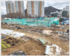  2025Ÿ��20997 �泲 ������ ������ 1084-5       ����(��)���