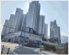  2025Ÿ21029 泲  Ͽ  1412 ھƷũ帲 105 191904ȣ   Ʈ