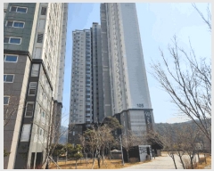  2025Ÿ21029 泲  Ͽ  1412 ھƷũ帲 105 191904ȣ   Ʈ