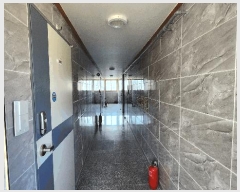  2025Ÿ21051 泲  ʸ  409-2      ٰð