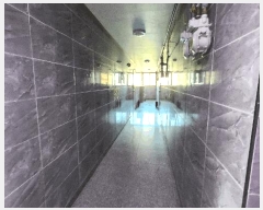  2025Ÿ21051 泲  ʸ  409-2      ٰð