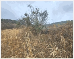  2025Ÿ��21093 �泲 ������ ���� ��� 421-53      ����(��1)���