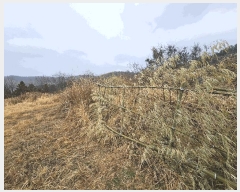  2025Ÿ��21093 �泲 ������ ���� ��� 421-53      ����(��1)���